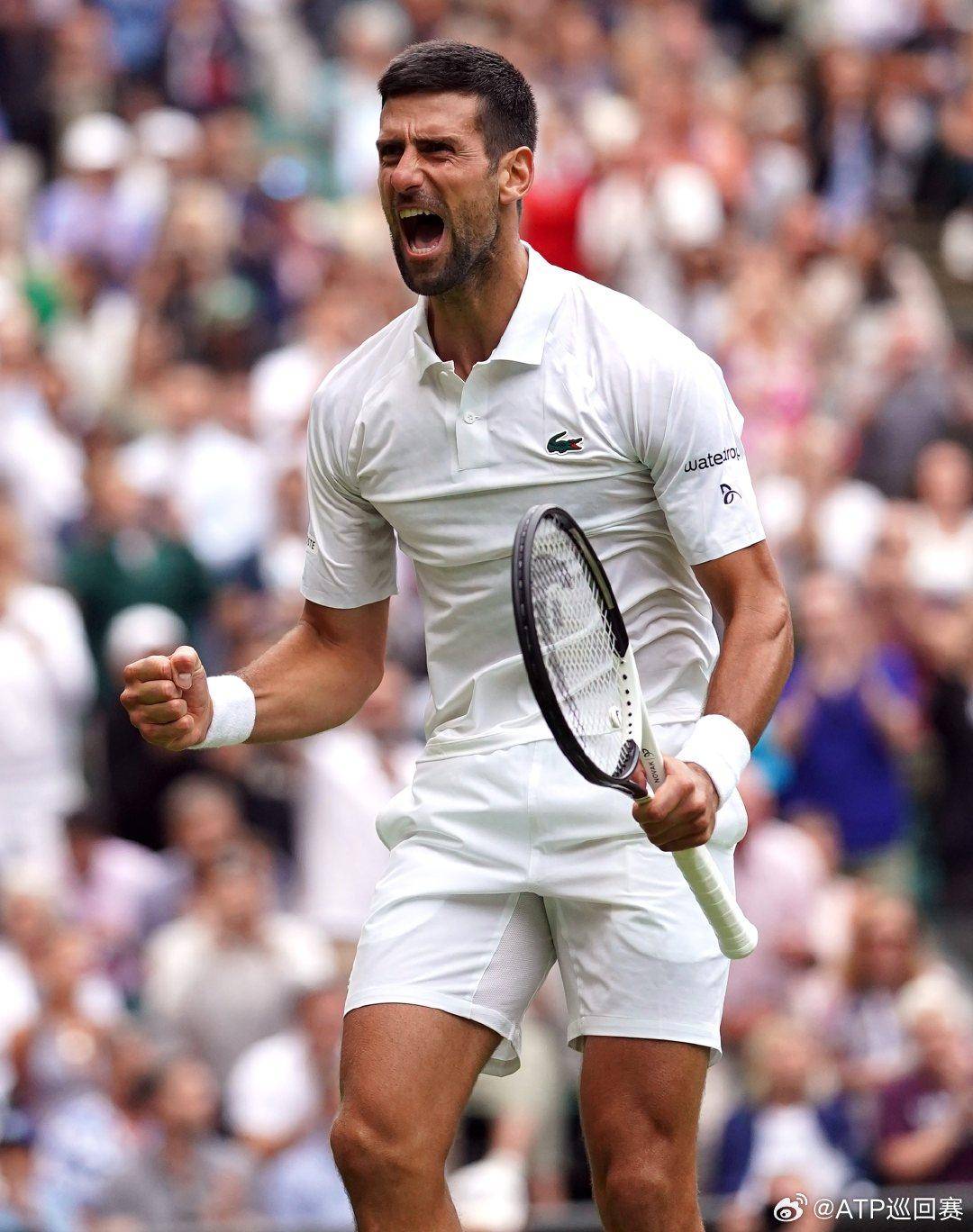 解对手的进 解对手的进