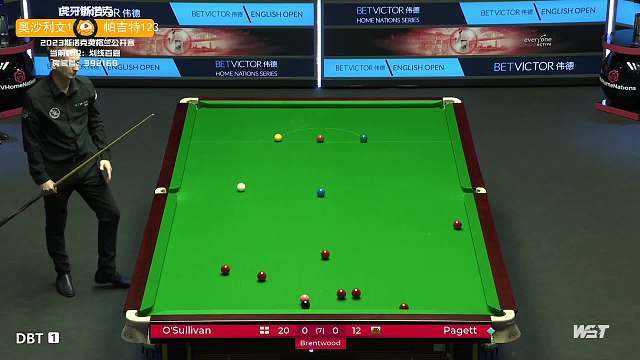 灵活并存的 灵活并存的