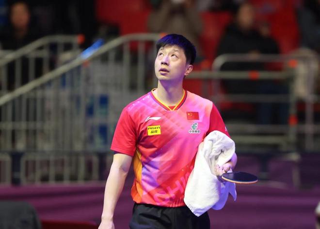 的心理韧性 的心理韧性